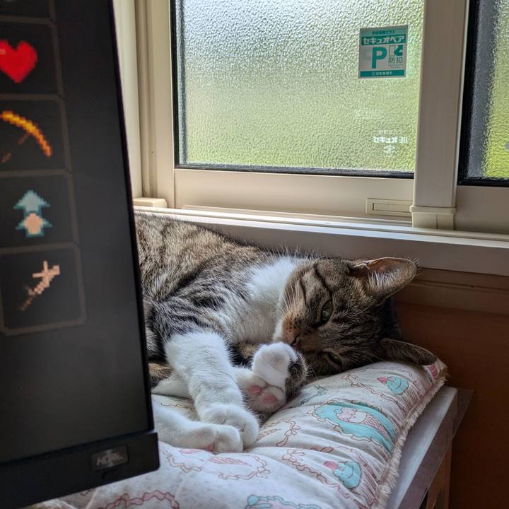 3a3025dc b824 419a b3d3 fa4bed243a8e 1721534644552