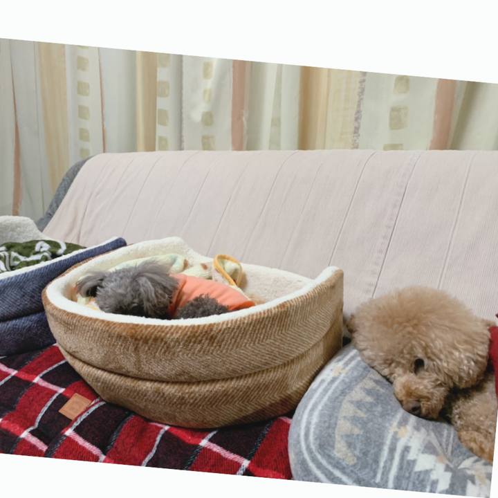 3a303598 2bb8 4a50 95b1 b5dab0550144 1603318981284