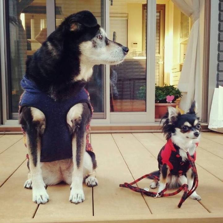 3a303e89 3d45 45f2 bbe4 7bd02b75ceec 1766213265397