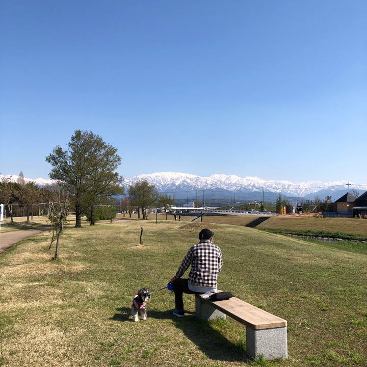 3a30668c bb87 4d2c 86c8 f00d790c512c 1681028410654