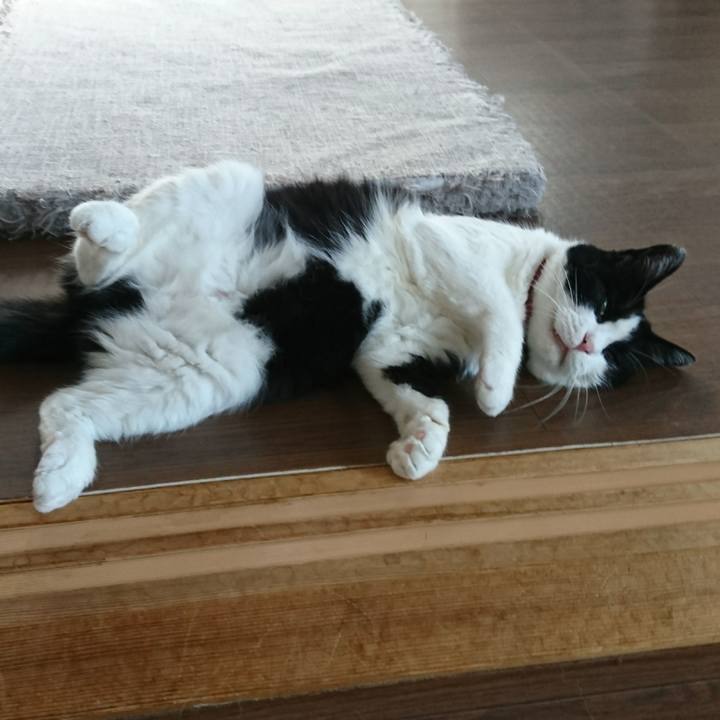 3a306f30 0528 4268 8cae 6a9ca79671a2 1565337089998