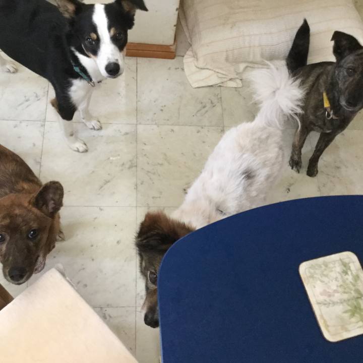 3a308245 93b8 44e7 8af6 b1ac51464a58 1589521481576