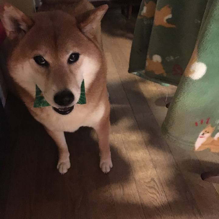 3a3089cf 0842 4f8b 9883 7cf7d6464374 1574911520313