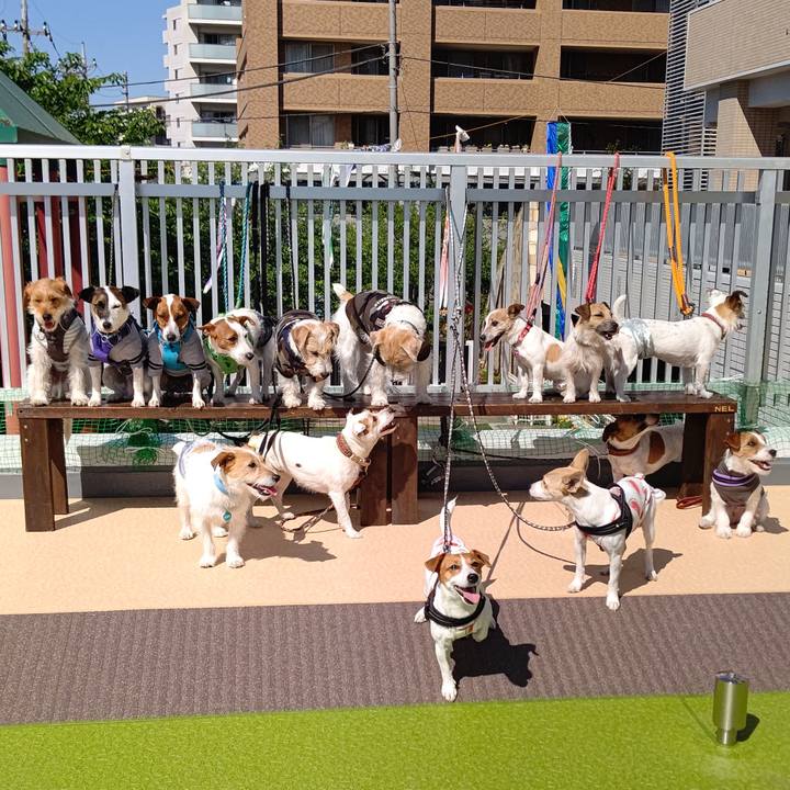 3a309343 b6e0 4cc2 9961 a317b17ef580 1618987763144