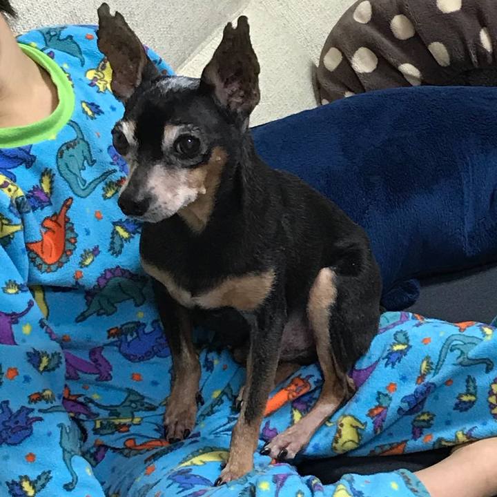 3a30a6d6 f86c 4c26 87d6 5294eb8b1925 1520199488897