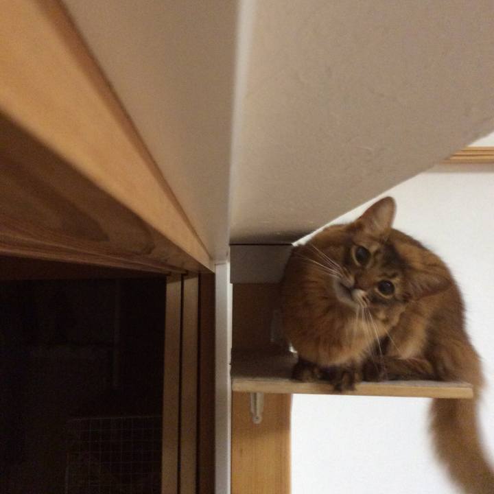 3a30a82e 49ff 4690 9852 beb4ca5b787e 1623282609742