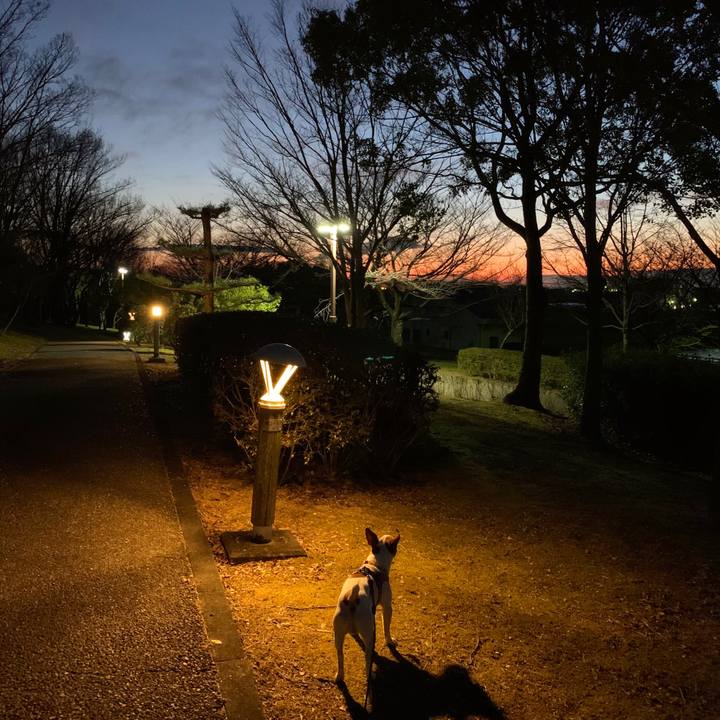 3a30c1e1 4bc0 430e 90ca 905cfe9719e4 1582203088068