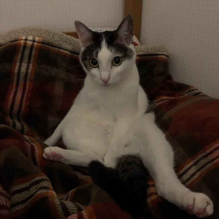 3a30d2f8 8474 4bb3 b182 ea61832ebfff 1665760208980