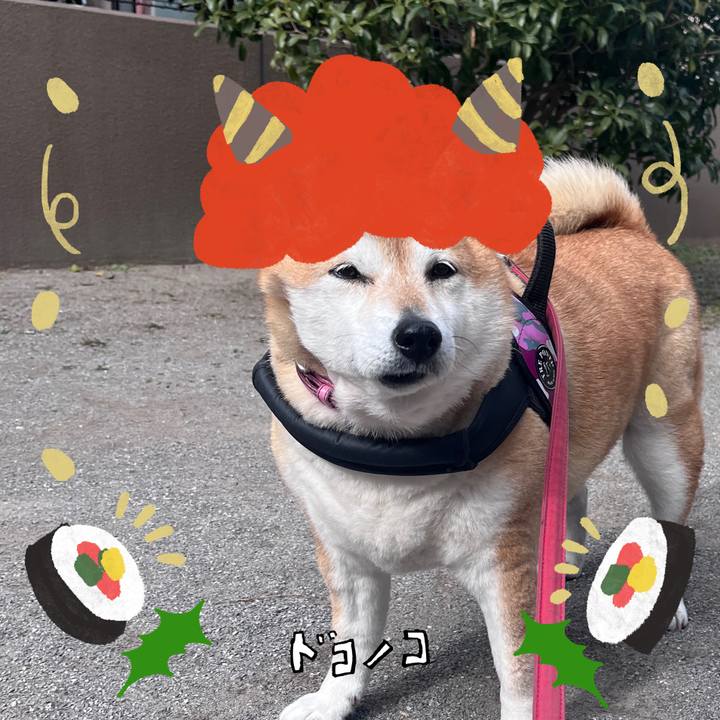 3a30dba6 2dd0 4e6b 8937 a901e226e114 1706755735004