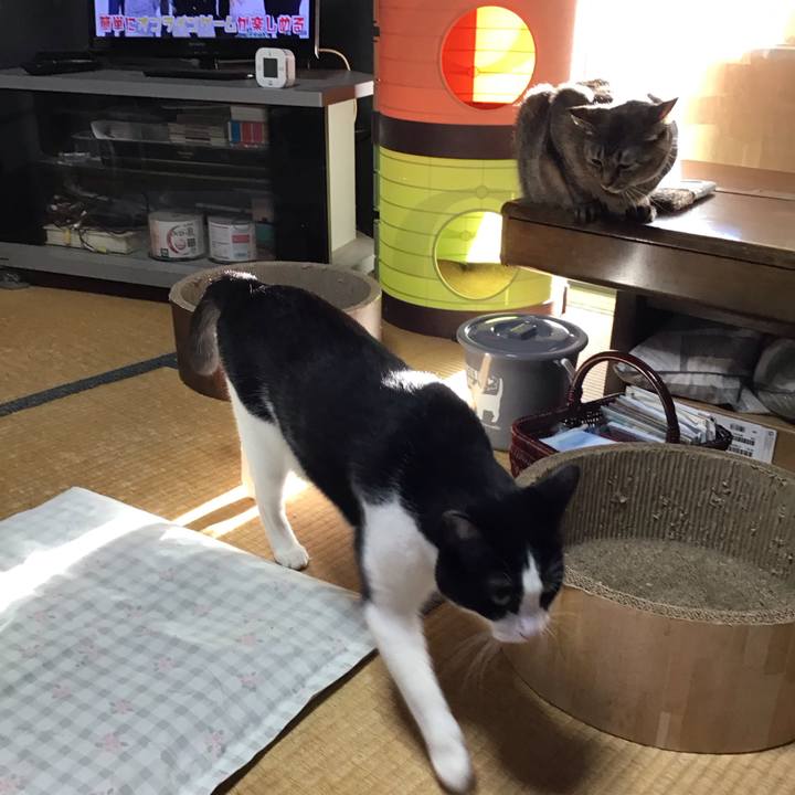 3a30e171 3eb7 4205 9576 ac2495d33bee 1726823455234