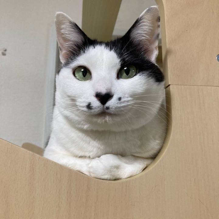 3a312fa3 171c 4443 a80e c4b8b3aee09f 1774958845340