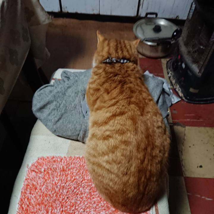 3a31446b b605 4464 a4a1 a8896ed03adb 1576274336584