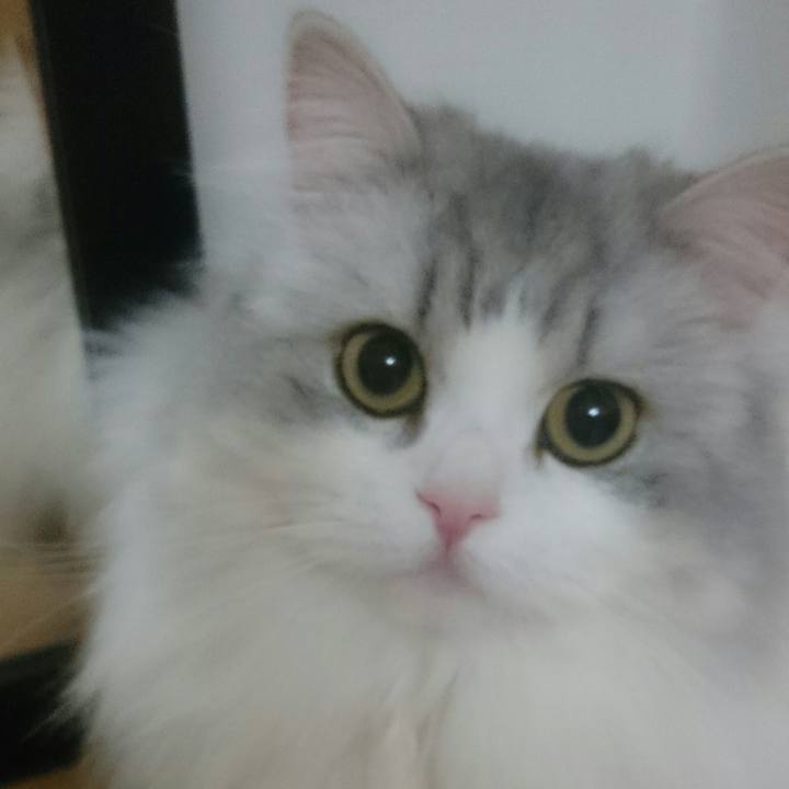 3a31627f 44a3 4bfb 961f 80004e0af1fe 1523361926327