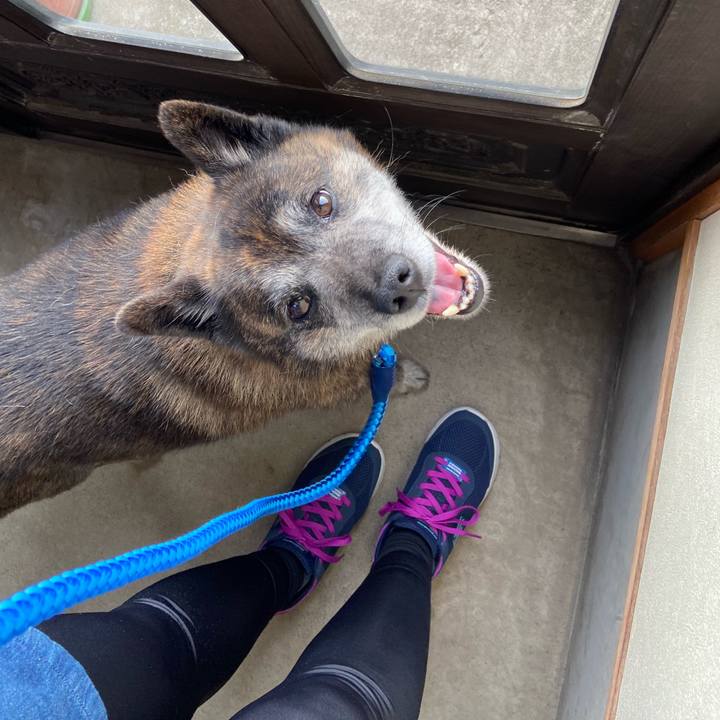 3a317b3d e4d9 4a15 931d 7a518e60109b 1655808533287