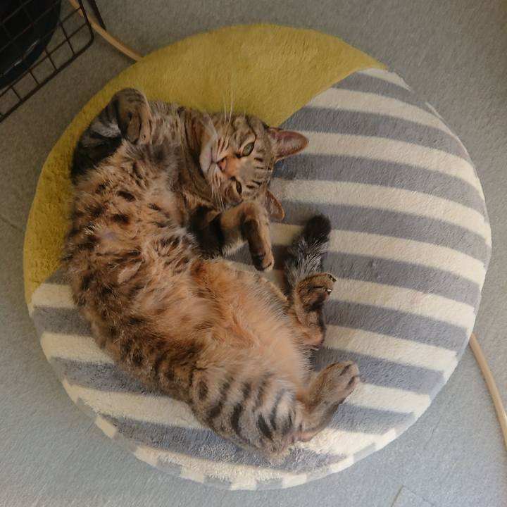 3a319fdb 4c40 405e 8933 06a2ca6dc420 1577602783994