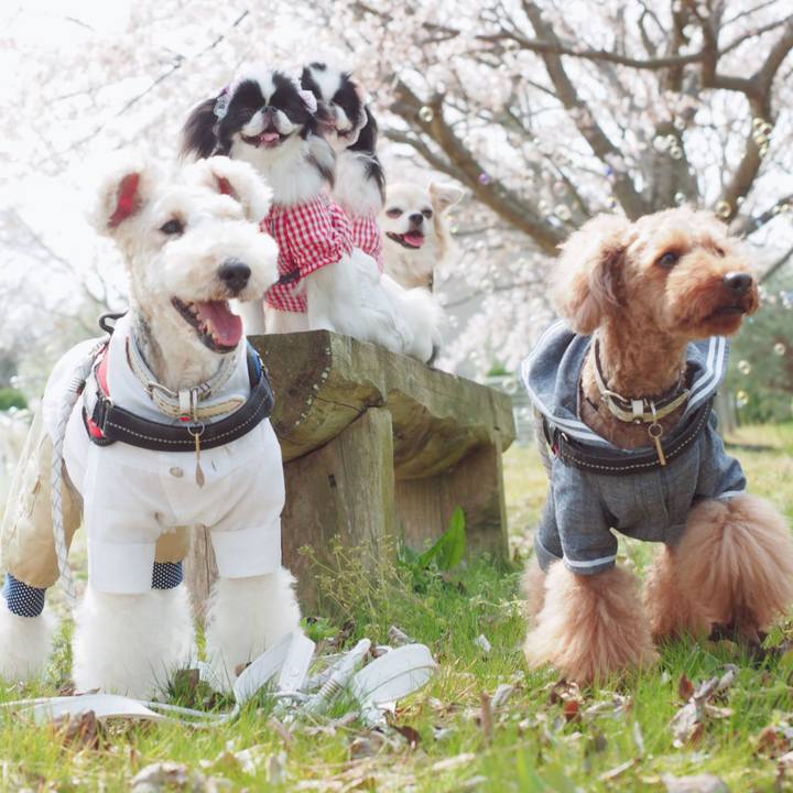 3a31aa7f 0949 445a b355 6bb3edf6ba4a 1554640690611