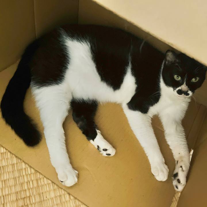 3a31d632 b571 4af3 a4b2 52c56d412e84 1695251609140