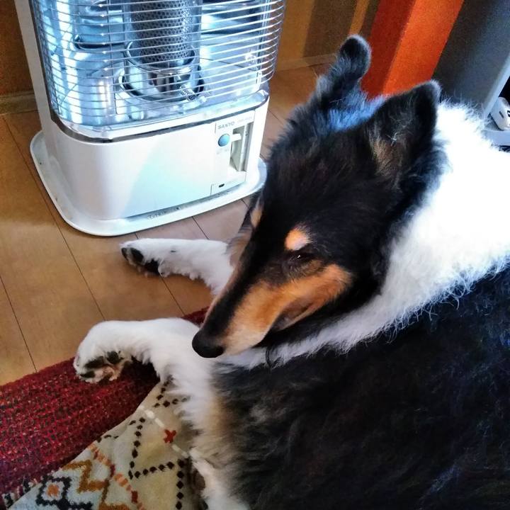 3a31d64b 19b7 40c5 b373 8dce7de048cd 1517401798934