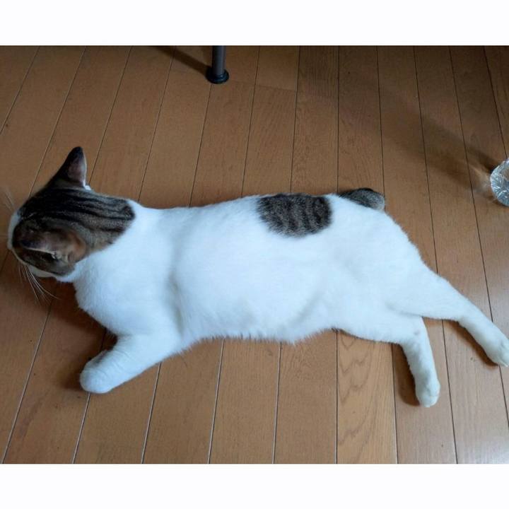 3a31dca9 b982 4108 b5be a9c7ac478fcd 1755915918478