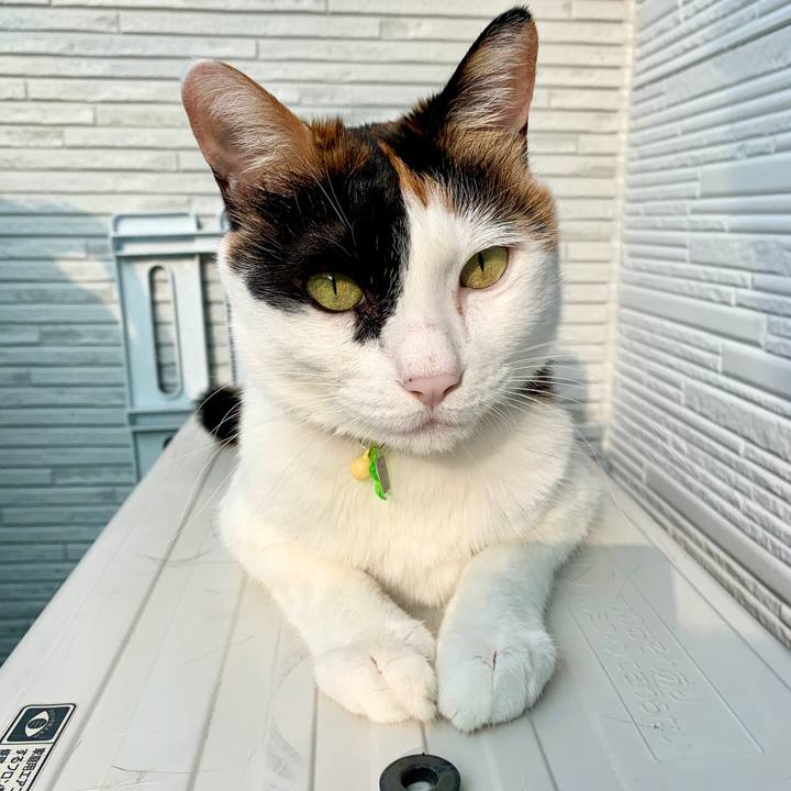 3a323b3f b48f 492c 9b10 78baa3e9662f 1570406069440