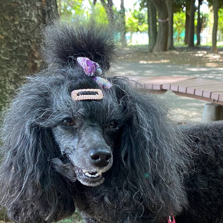 3a3245d9 f85a 4afd ab25 8e83fa019fa4 1663397102440