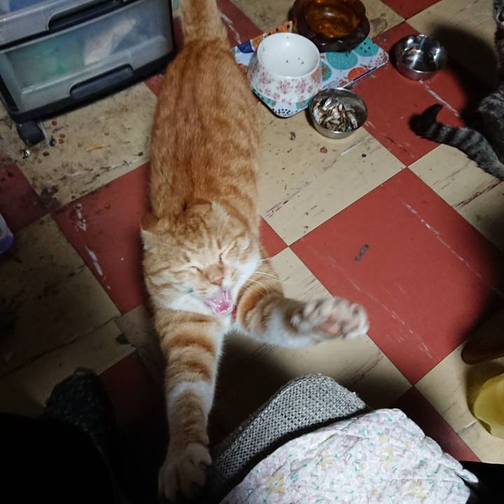 3a3291b1 1da5 4fdf bda3 79f9e2025c27 1573849155514