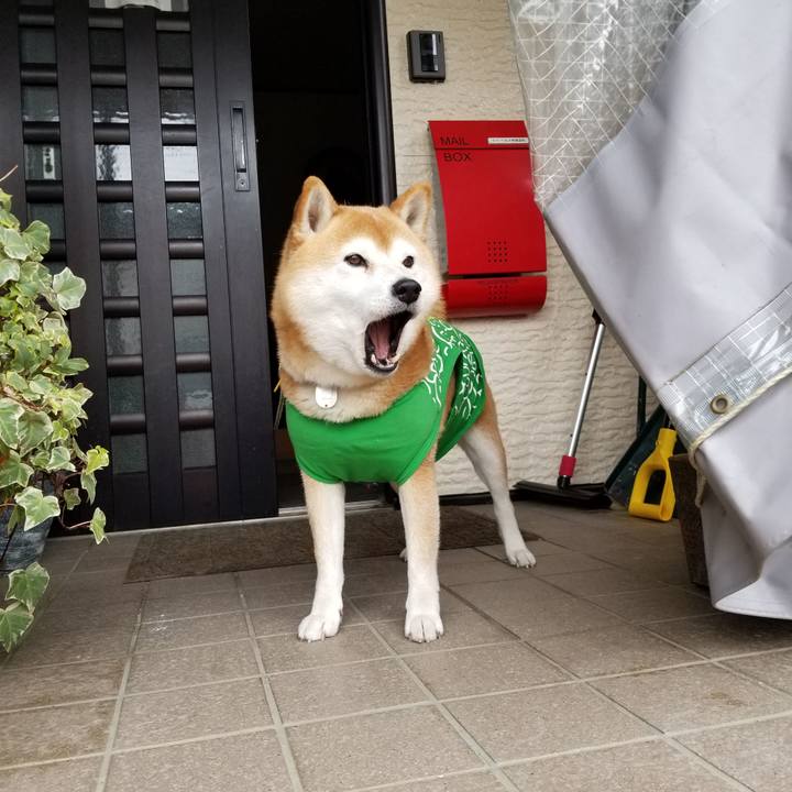 3a32f291 0a2c 4b23 9311 7679a41befed 1585389841409