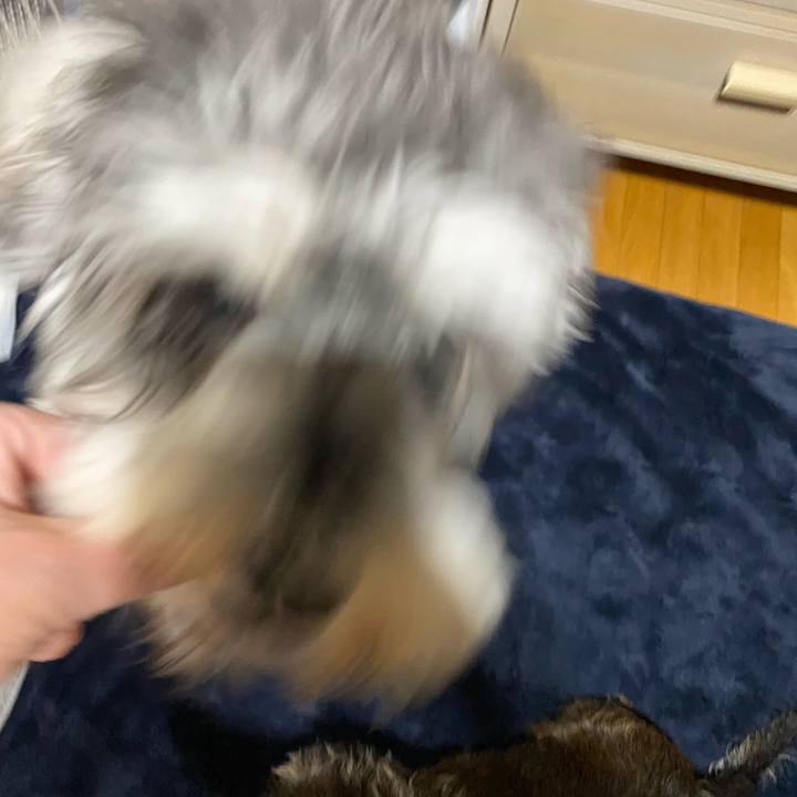 3a33078d 443b 4024 b1e5 252dbcbd0ee3 1588000635996