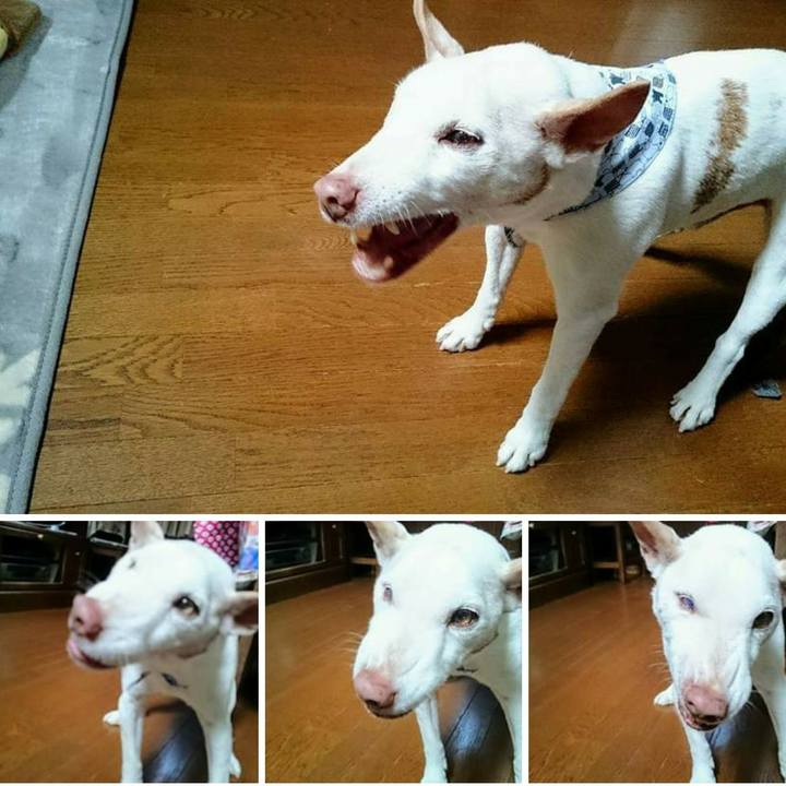 3a330fe3 144b 44ba 9d88 93bc053e0ca2 1548776053628