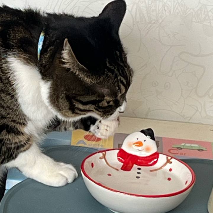 3a3318d9 1a10 49a3 a973 e3bf034d5aeb 1767053594460