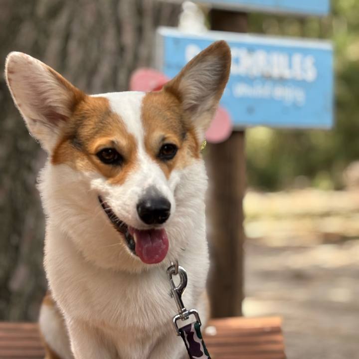 3a3321ce 9dc5 4ee1 813f 555c32ccb463 1764151674732