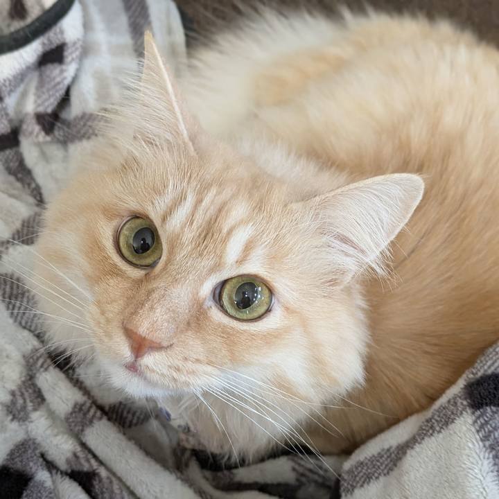 3a332823 627c 4729 afa0 736f30fc02e6 1767235464010