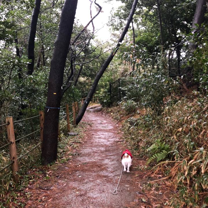 3a3331eb 86bf 4b56 835a bbe8dbbf1929 1609284083141