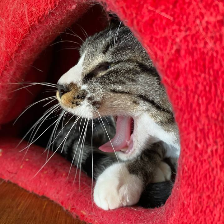 3a33878e a67a 4f00 99e4 ff5a2cfa8a4e 1710219124397