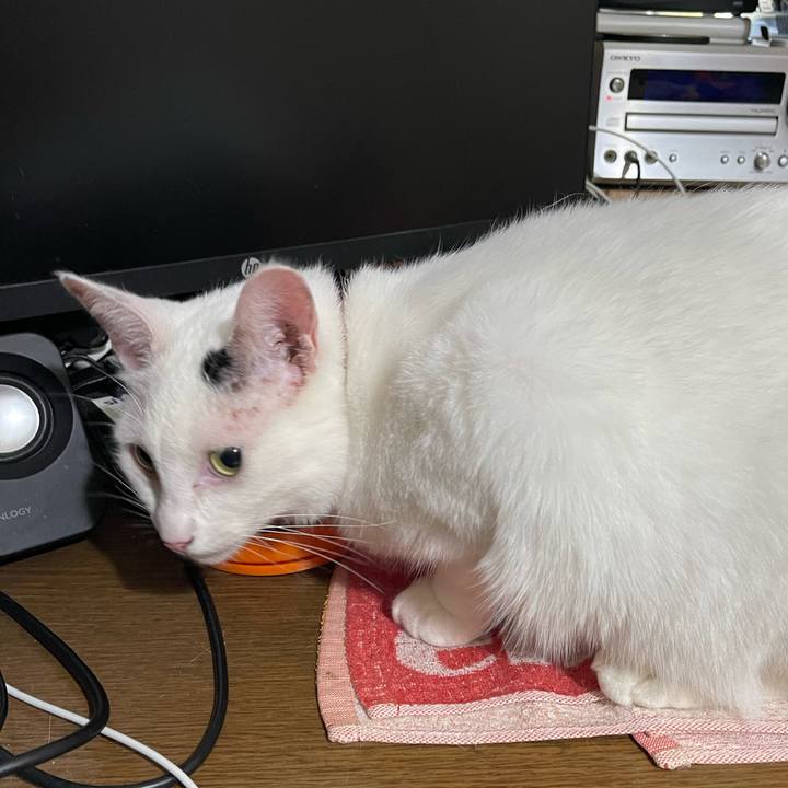 3a339308 0dbc 4a24 b6d5 ddf07ca0f2c4 1756421388017