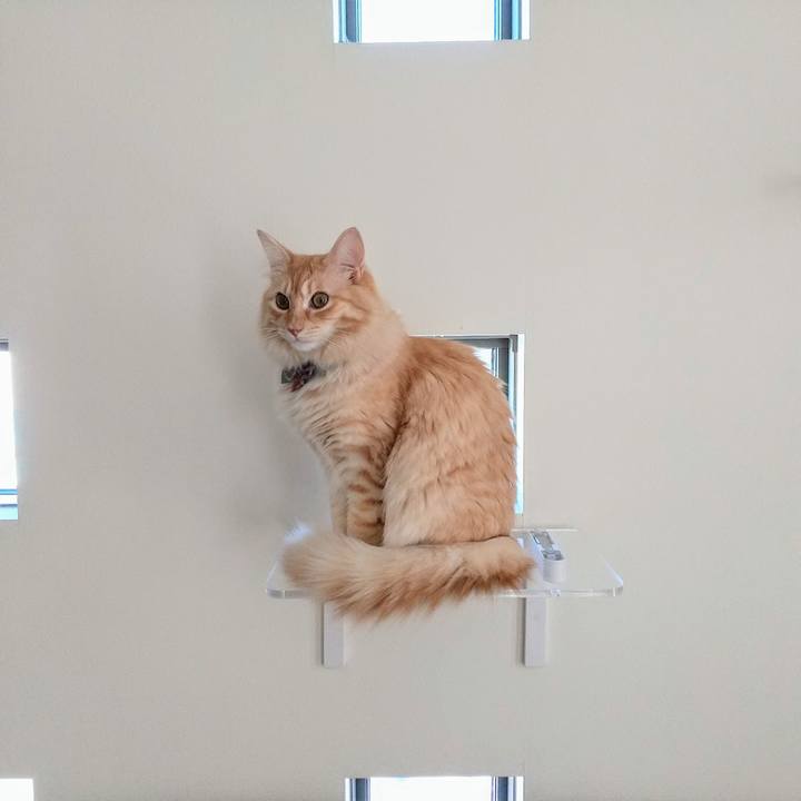 3a33d294 d0fb 4293 8d63 d357afe34d9d 1635045322397