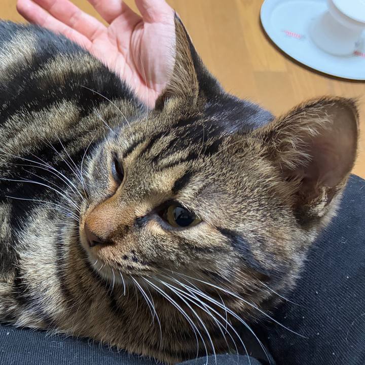 3a33e055 336a 4775 b1bf 5b58832a0b66 1764585608096