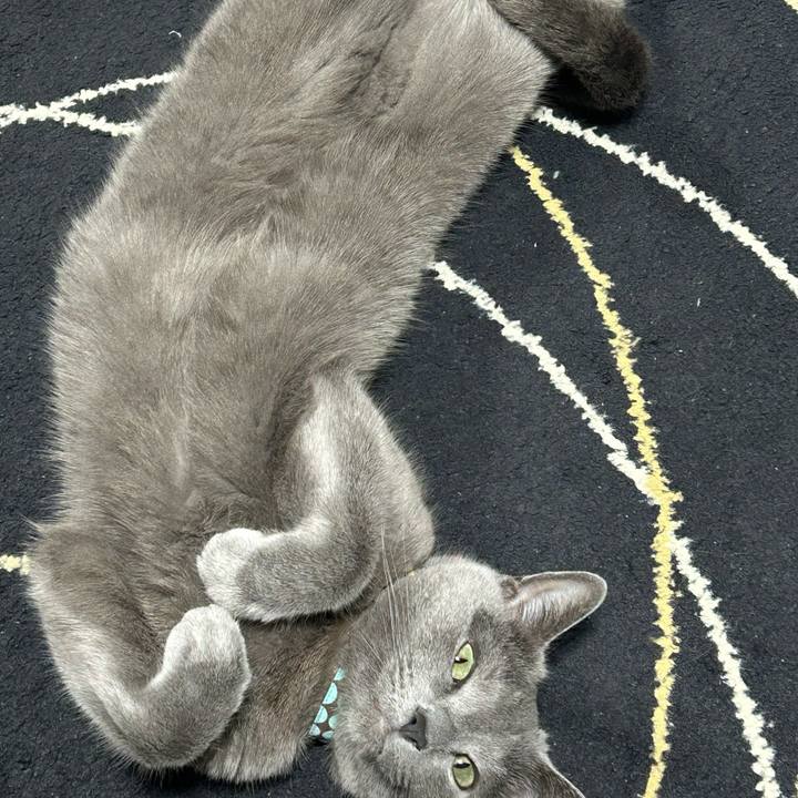 3a340833 2c64 47c7 b123 5c157550b4f1 1708765240122