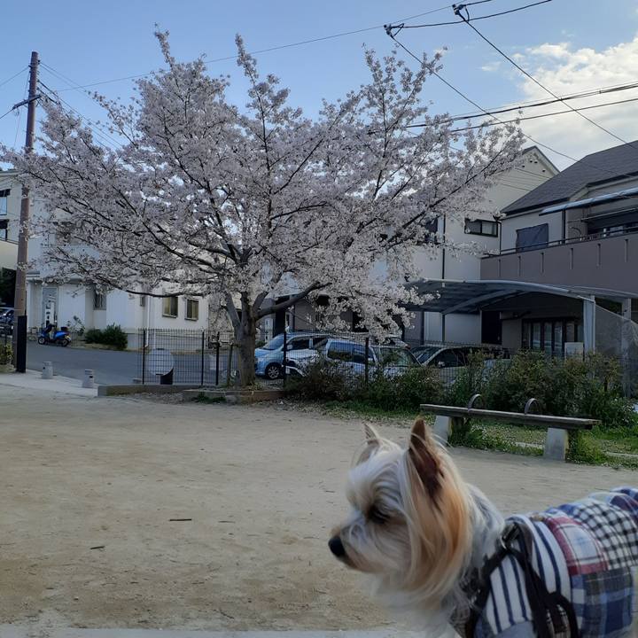 3a3470b1 8e8e 420f 805f 1b79fd291bdc 1586047864984