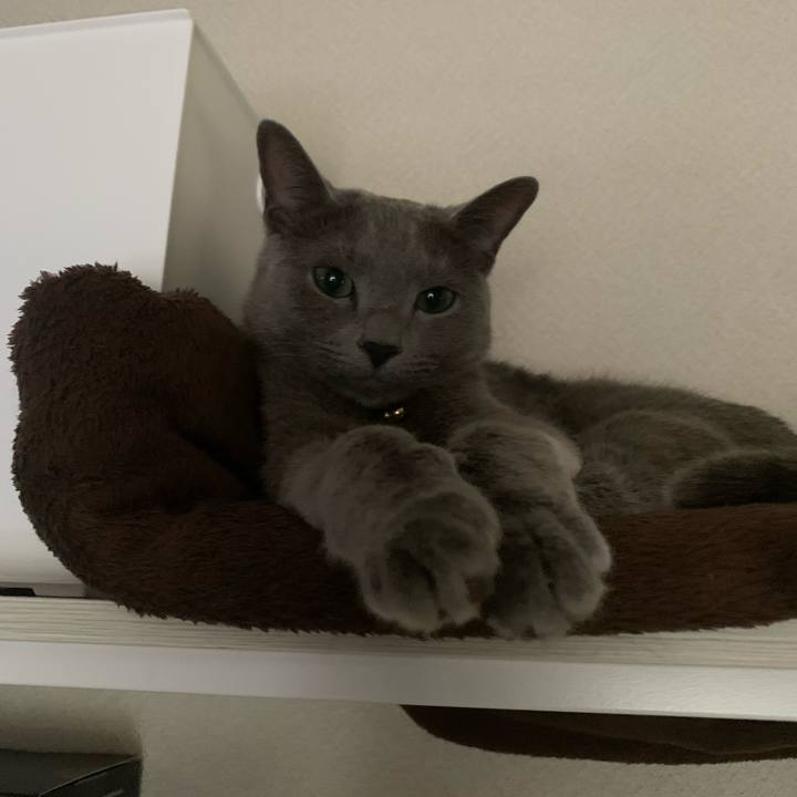 3a3474bc 375e 40b5 b89d dad8134d2176 1627301695193