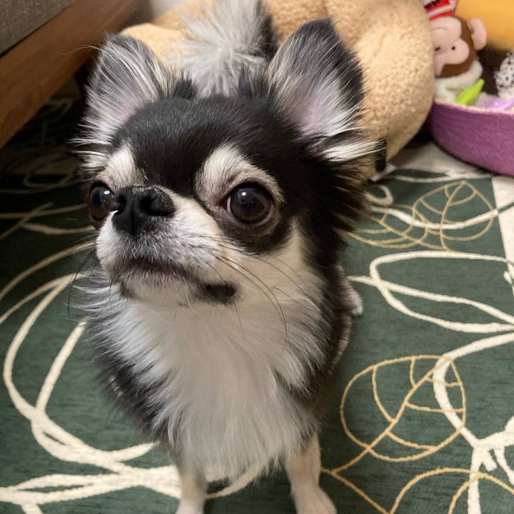 3a349dce 69fa 436d bf0f eb90895a3278 1647698541640