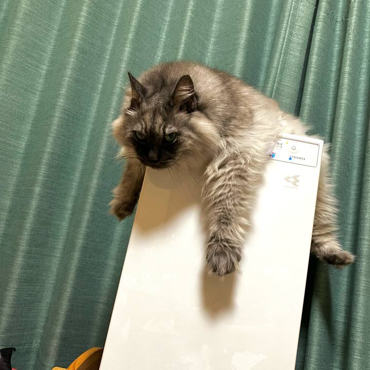 3a34a6cb 73af 47d6 8bcd 7bc85d054fbc 1721568762691