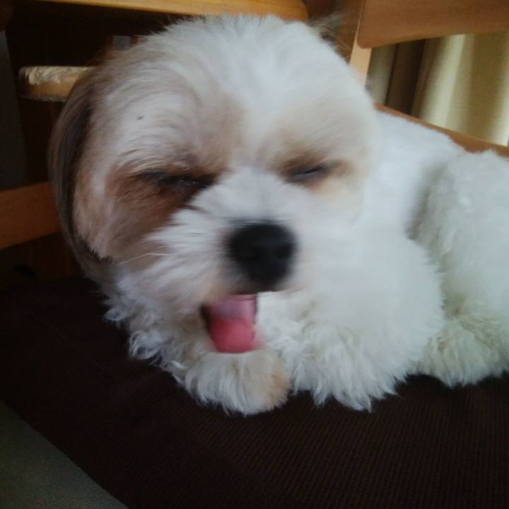 3a34baa0 53b3 44b5 a007 330b622b1e61 1530852670414