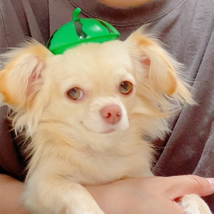 3a34d0d9 1ec0 4c83 a46b 47534fc585d8 1622788784684