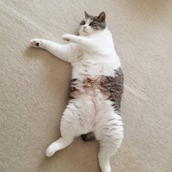 3a34d178 8119 4b42 9a96 7717bd2bbee6 1627998159213