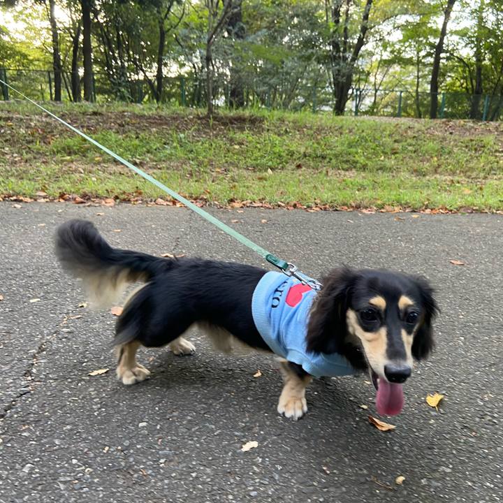 3a35086d 38f0 49ef 83dc 650bf69b8840 1694728358595