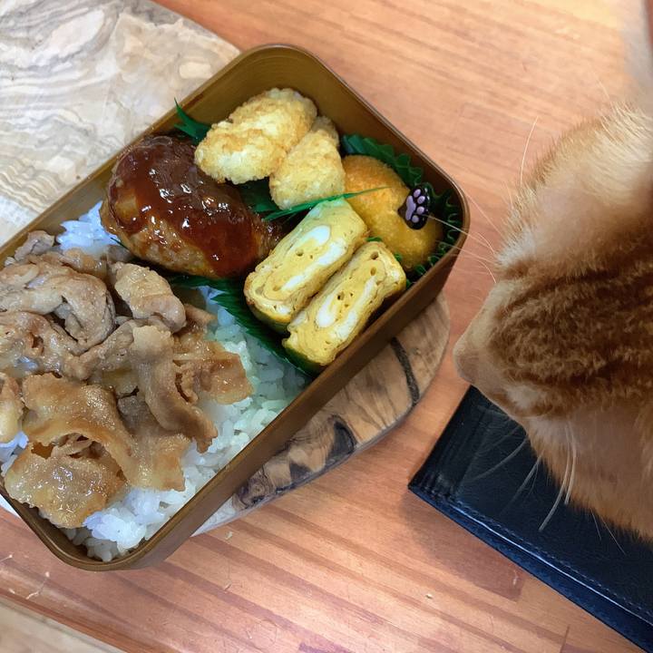 3a35124e aff8 4e74 8d3d 68e74a74b06a 1664748627652