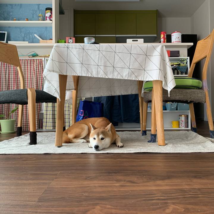 3a3576cd 0822 46d4 8f17 e783f0089912 1615981772341