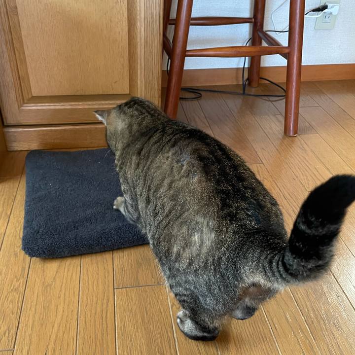 3a357d6d 4270 4e00 863e d3c4d9a1e49e 1615687102146