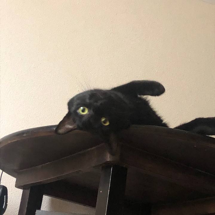 3a358173 dcfc 4082 aea9 c950605410d0 1585442315513